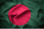 Bangladesh